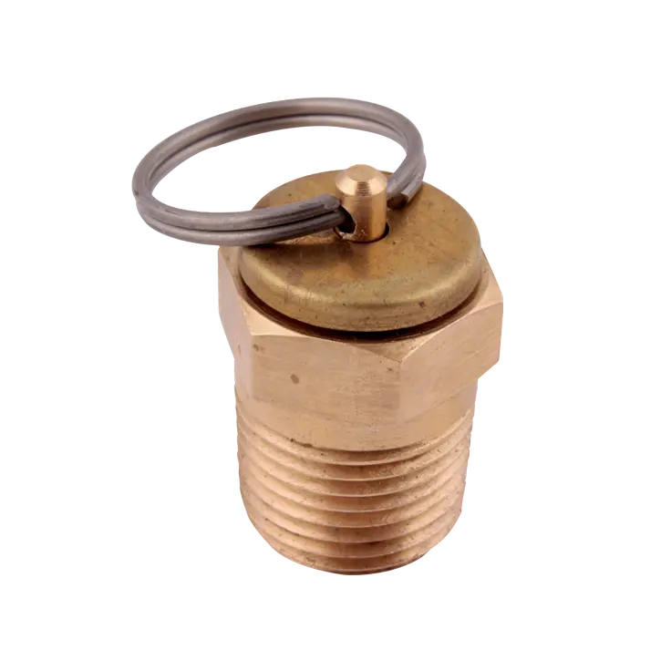 Druckentlastungsventile Typ T